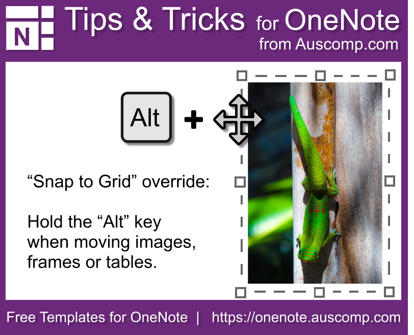 tips for using onenote