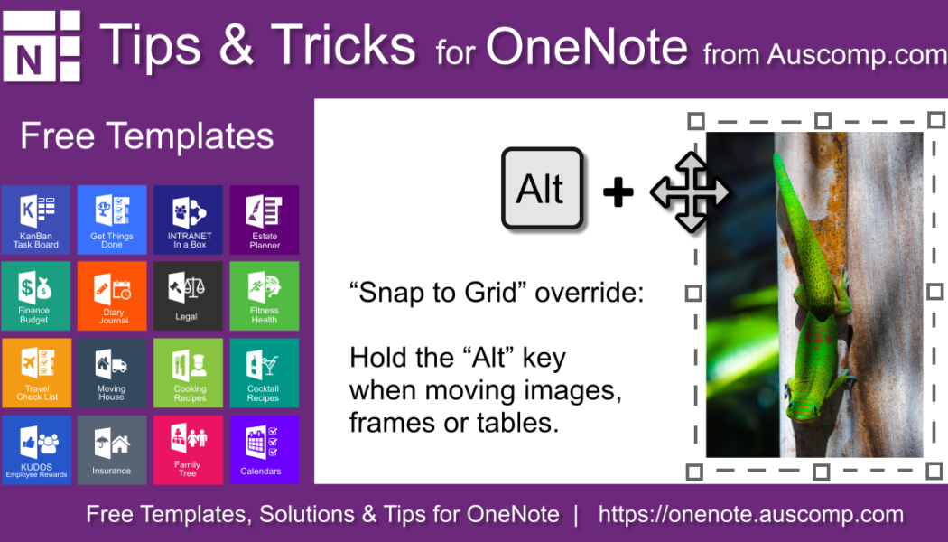 Tips & Tricks for OneNote: Hold the Alt key when moving images & frames to override “Snap to Grid”.