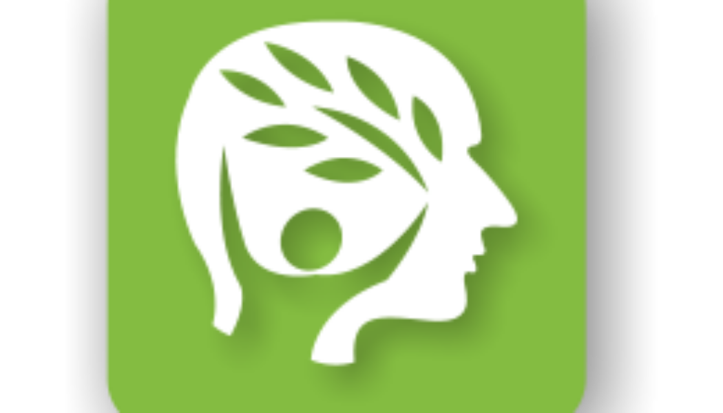 Sustainability Initiatives for MS Project